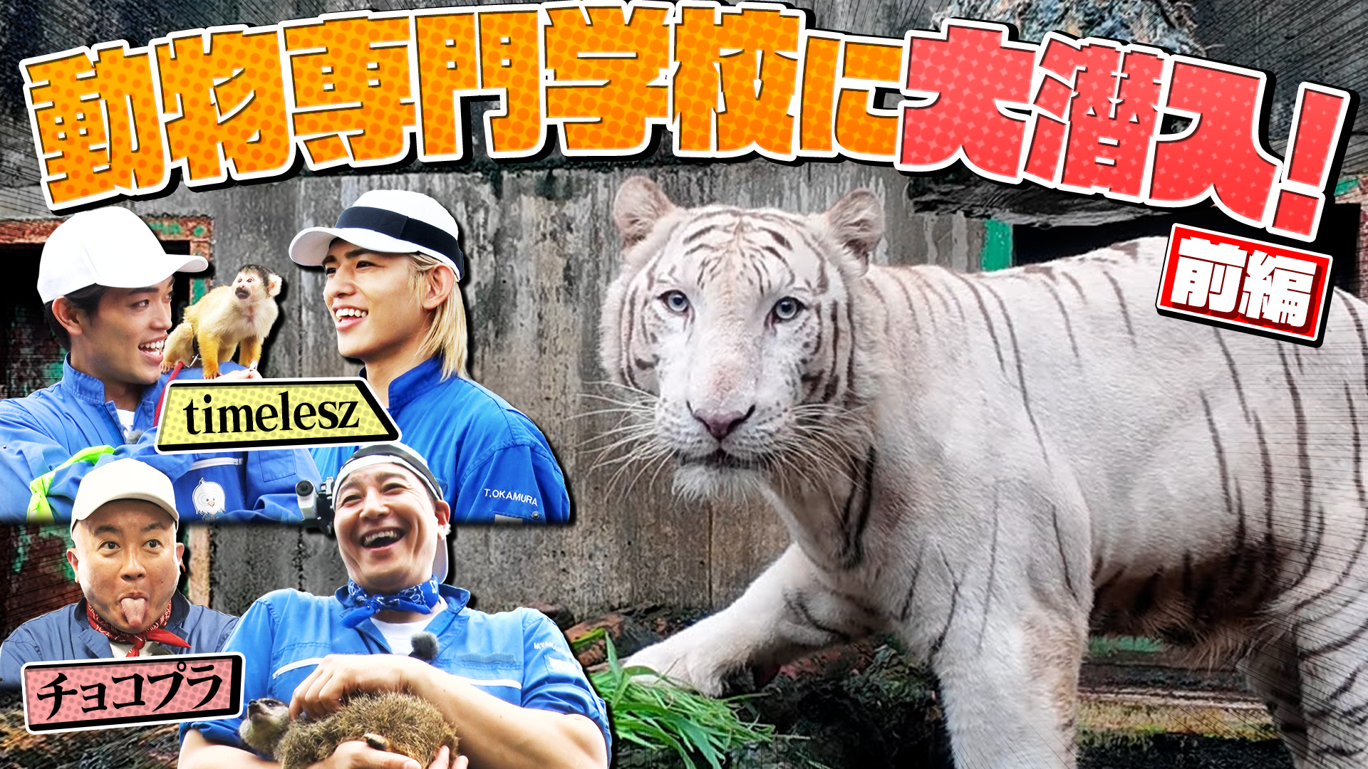 #19 チョコプラ・timeleszが日本最大級の動物専門学校に大潜入！ネイチャー特別課外授業SP！