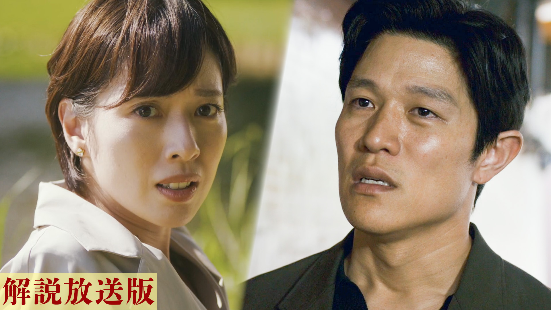 【解説放送版】真実