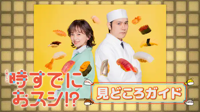 見どころガイド