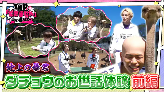 #1 地上の暴君のお世話を手伝って知名度アップを目指せ（前編）