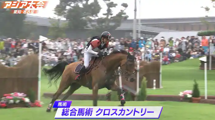 クロスカントリー ハイライト