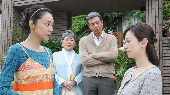 なるようになるさ。（作・橋田壽賀子）