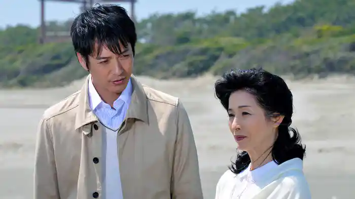 内田康夫サスペンス 浅見光彦シリーズ31 箸墓幻想