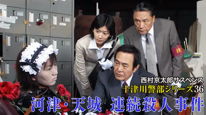 西村京太郎サスペンス十津川警部シリーズ36 河津・天城連続殺人事件