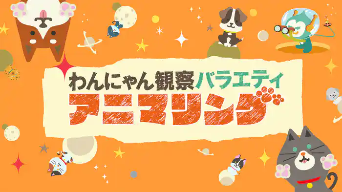 わんにゃん観察バラエティ アニマリング