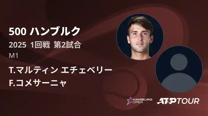 500 ハンブルク 男子シングルス1回戦 T.マルティン エチェベリー VS F.コメサーニャ フルマッチ [ATPツアー 2025]