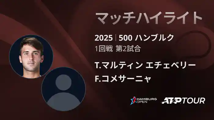 500 ハンブルク 男子シングルス1回戦 T.マルティン エチェベリー VS F.コメサーニャ マッチハイライト [ATPツアー 2025]