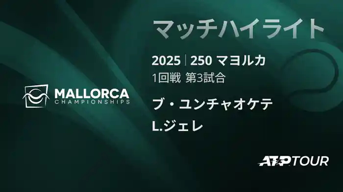 ロングハイライト