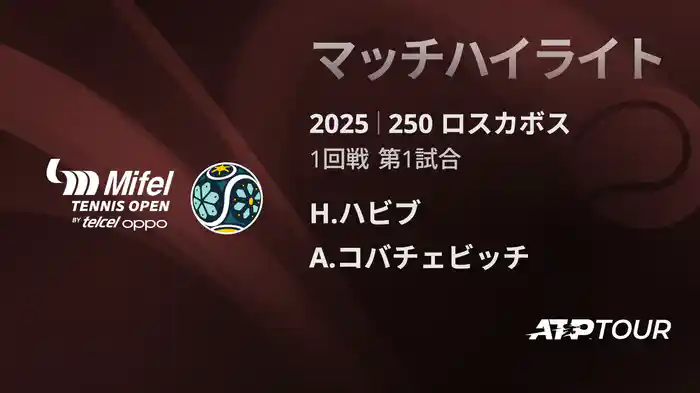 ロングハイライト