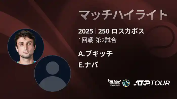 ロングハイライト