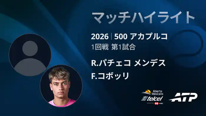 ロングハイライト