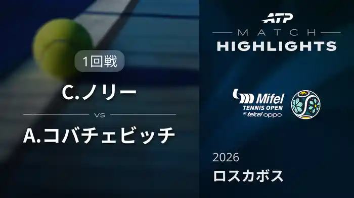 ロングハイライト