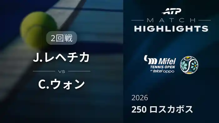 ロングハイライト