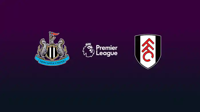 第9節 ニューカッスル v フラム 10/25 [プレミアリーグ] マッチハイライト