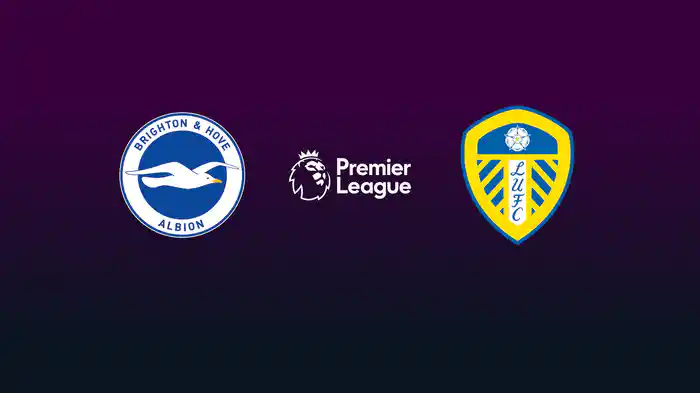 第10節 ブライトン v リーズ 11/2 [プレミアリーグ] マッチハイライト