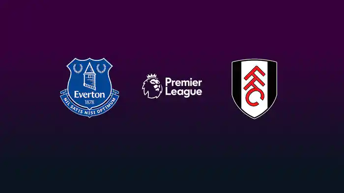 第11節 エヴァートン v フラム 11/9 [プレミアリーグ] マッチハイライト