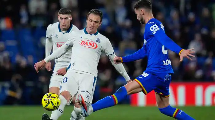 第16節 ヘタフェ v エスパニョール 12/14 [ラ・リーガ] マッチハイライト