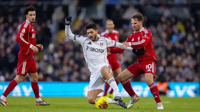 第20節 フラム v リヴァプール 1/5 [プレミアリーグ] マッチハイライト