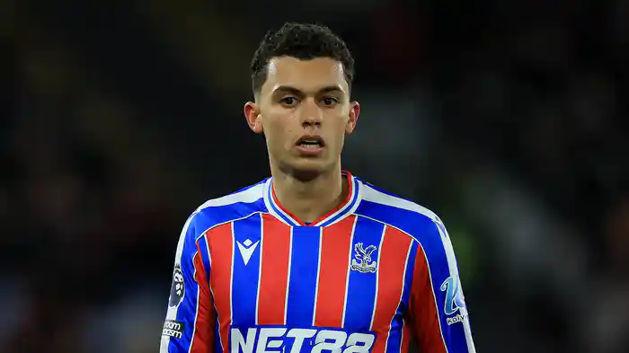 第21節 クリスタル・パレス v アストン・ヴィラ 1/8 [プレミアリーグ] マッチハイライト