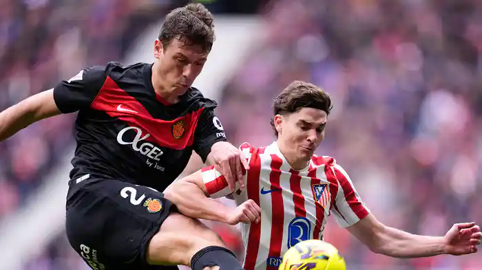 第21節 アトレティコ・デ・マドリー v マジョルカ 1/25 [ラ・リーガ] マッチハイライト