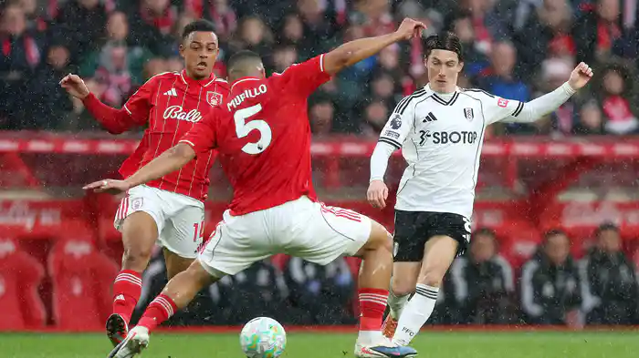 第30節 ノッティンガム・フォレスト v フラム 3/15 [プレミアリーグ] マッチハイライト