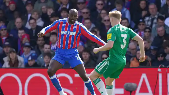 第32節 クリスタル・パレス v ニューカッスル 4/12 [プレミアリーグ] マッチハイライト