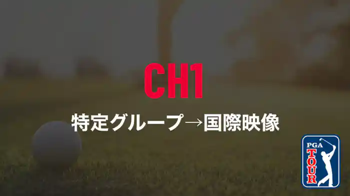 特定グループ→国際映像