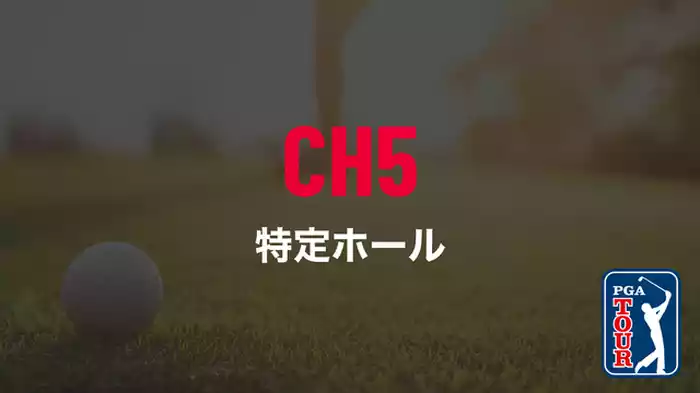 特定ホール