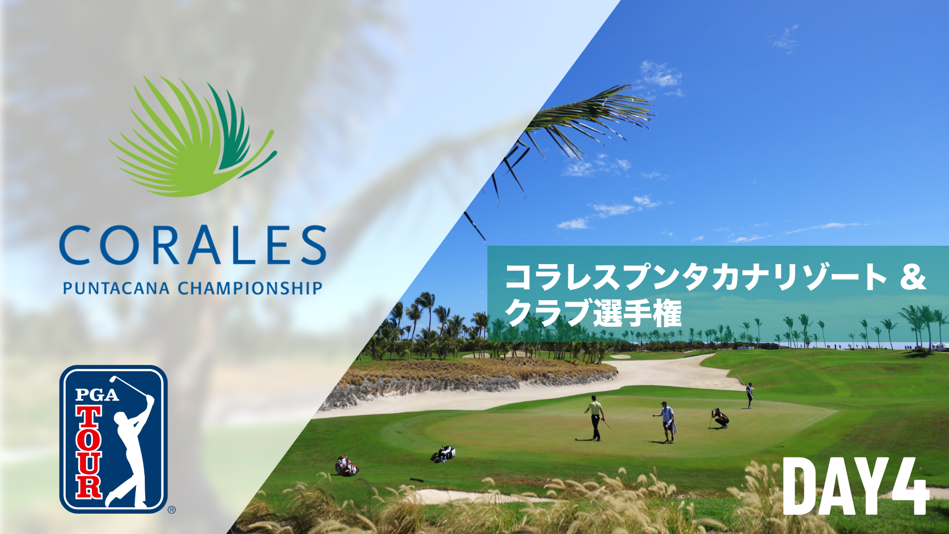 コラレスプンタカナリゾート & クラブ選手権  DAY1～DAY4のサムネイル画像