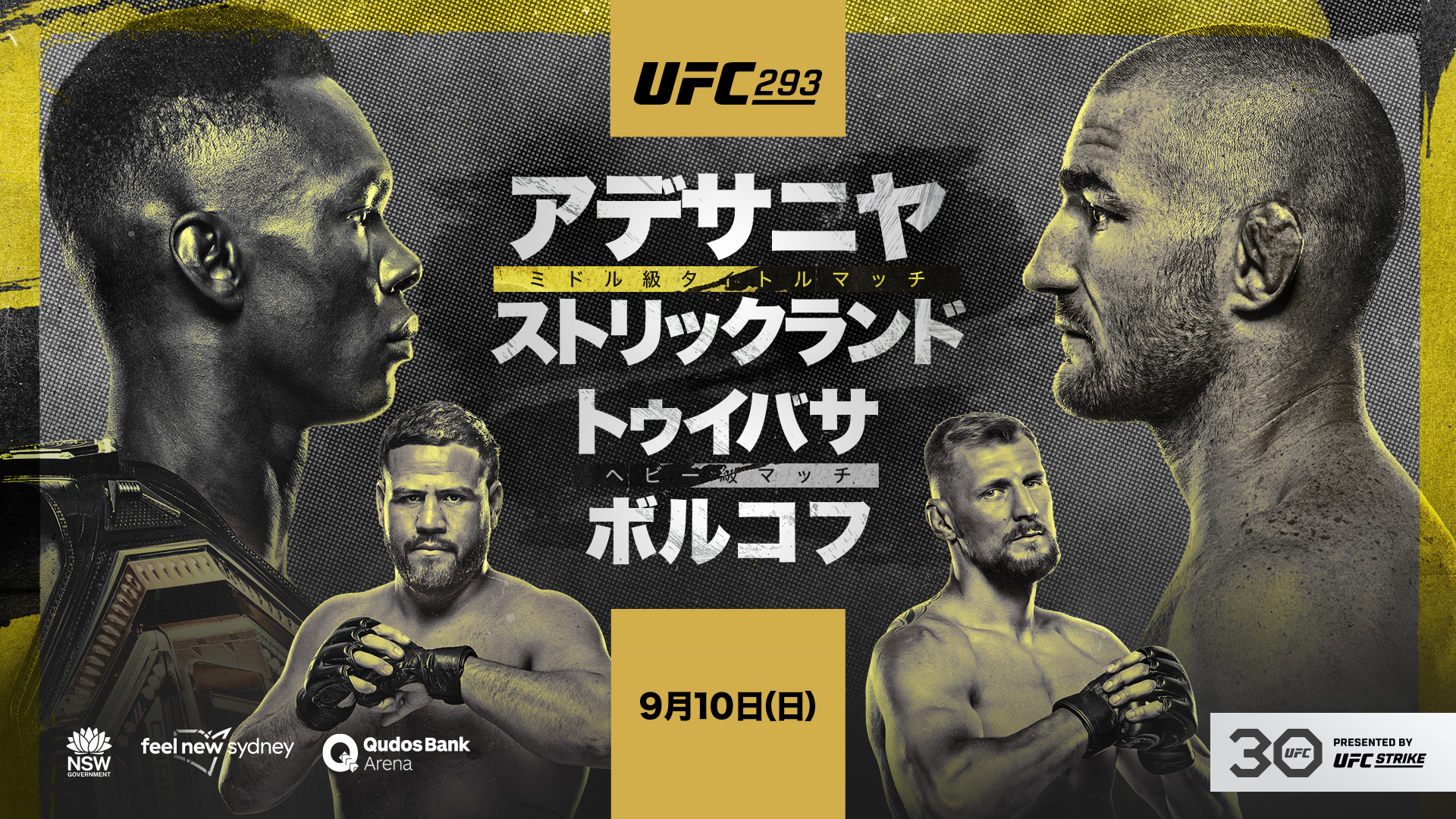 UFC 293：アデサニヤ vs. ストリックランドのサムネイル画像