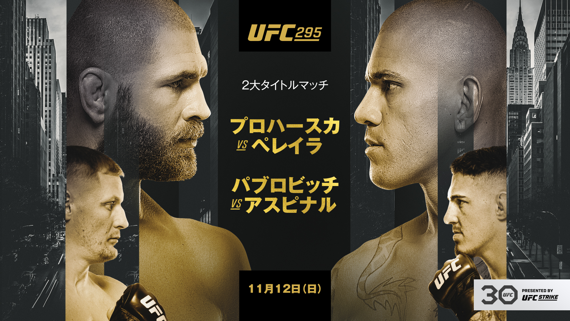 UFC 295：プロハースカ vs. ペレイラのサムネイル画像