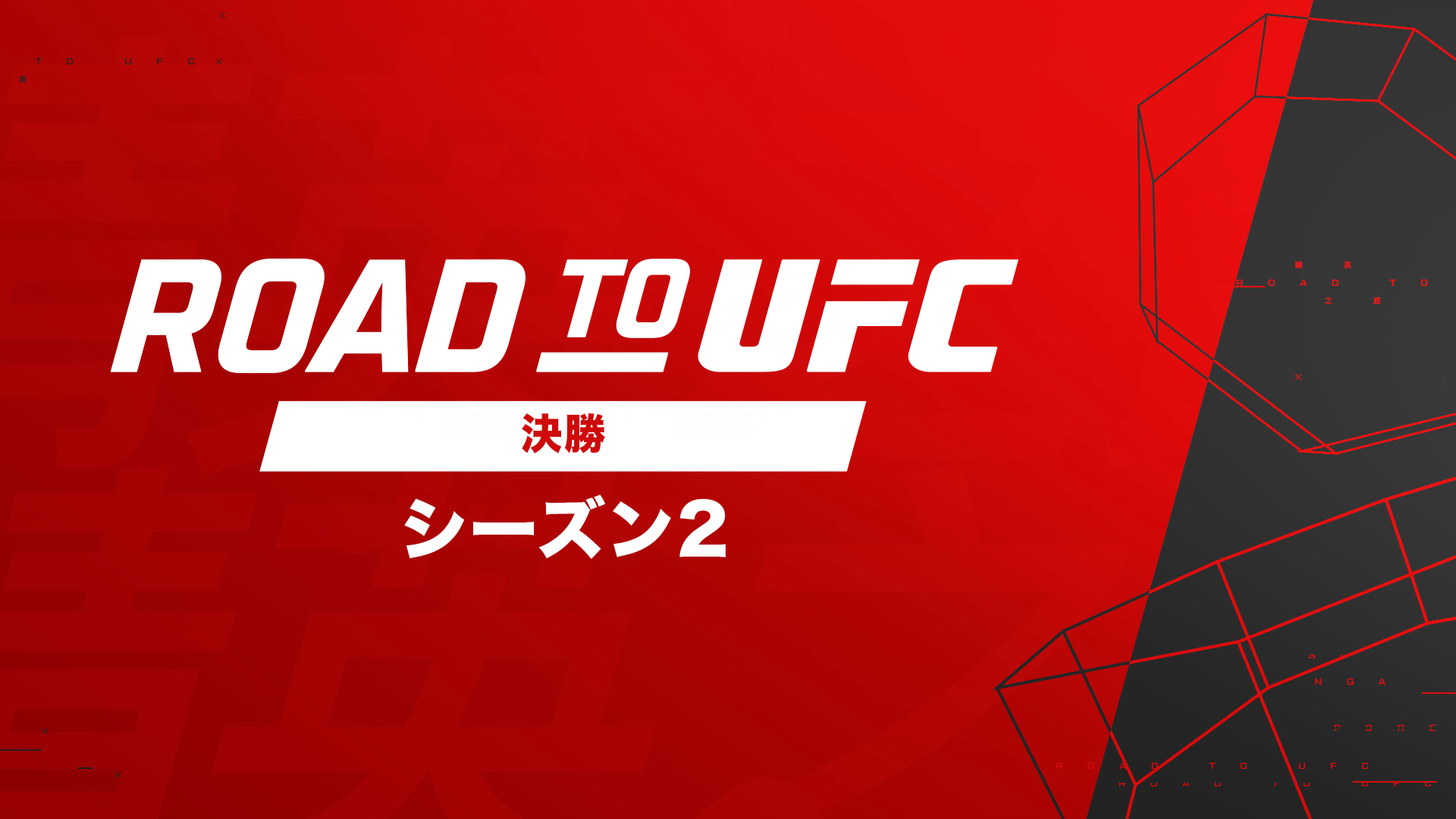 ROAD TO UFC シーズン2 決勝のサムネイル画像