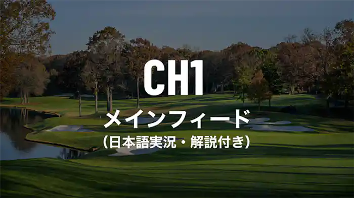 メインフィード（日本語実況解説付き）