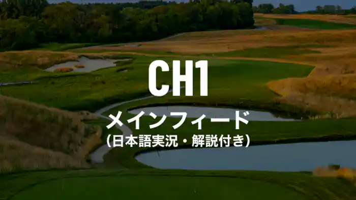 メインフィード（日本語実況解説付き）